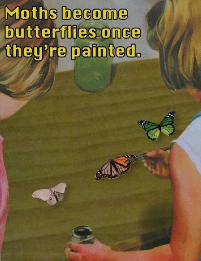 moth vs butterfly meme - Moths become butterflies once they're painted.