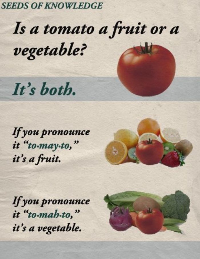 tomatoes fruits or vegetables - Seeds Of Knowledge Is a tomato a fruit or a vegetable? It's both. If you pronounce it "tomay.to," it's a fruit. If you pronounce it "to.mah.to, it's a vegetable.