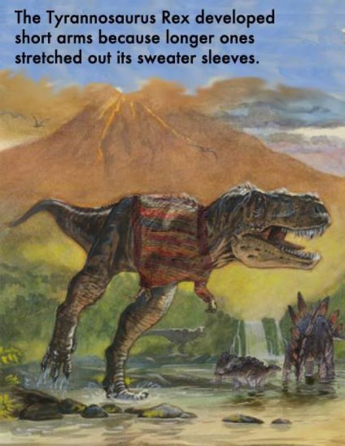 did the t rex have short arms - The Tyrannosaurus Rex developed short arms because longer ones stretched out its sweater sleeves.