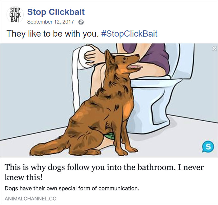"Stop Clickbait" Team, Hilariously Uncover and Reveal Clickbait Articles
