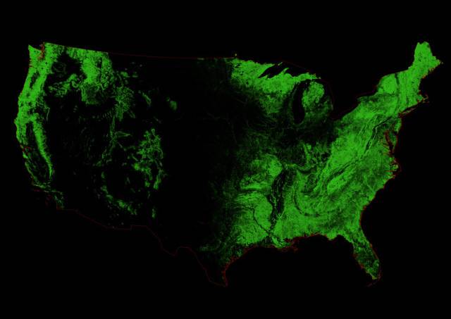 Forestry of the US