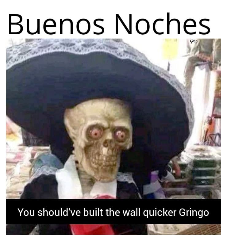 buenos dias fuck boi - Buenos Noches Loo You should've built the wall quicker Gringo