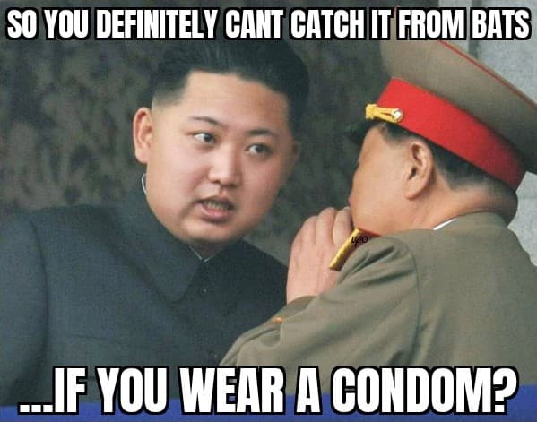 kim jong un meme - So You Definitely Cant Catch It From Bats ...If You Wear A Condom?