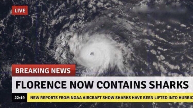 memes - florence hurricane sharks - Live Breaking News Florence Now Contains Sharks New Reports From Noaa Aircraft Show Sharks Have Been Lifted Into Hurric