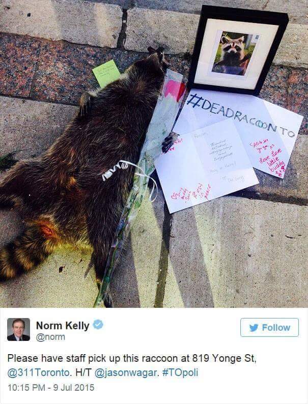 Dead Raccoon Gets A Memorial Erected In It's Honor