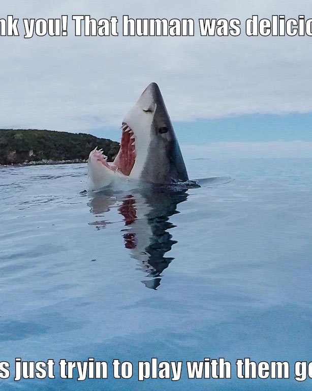 Shark says thanks to God for his meal, then gets scolded.