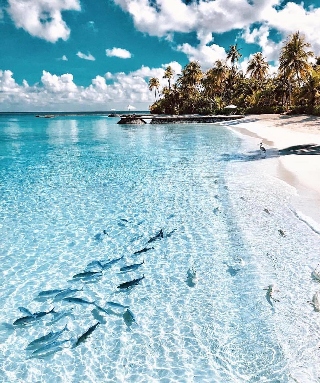 40 Great Pics Of The Maldives [HEAVEN] to Improve Your Mood