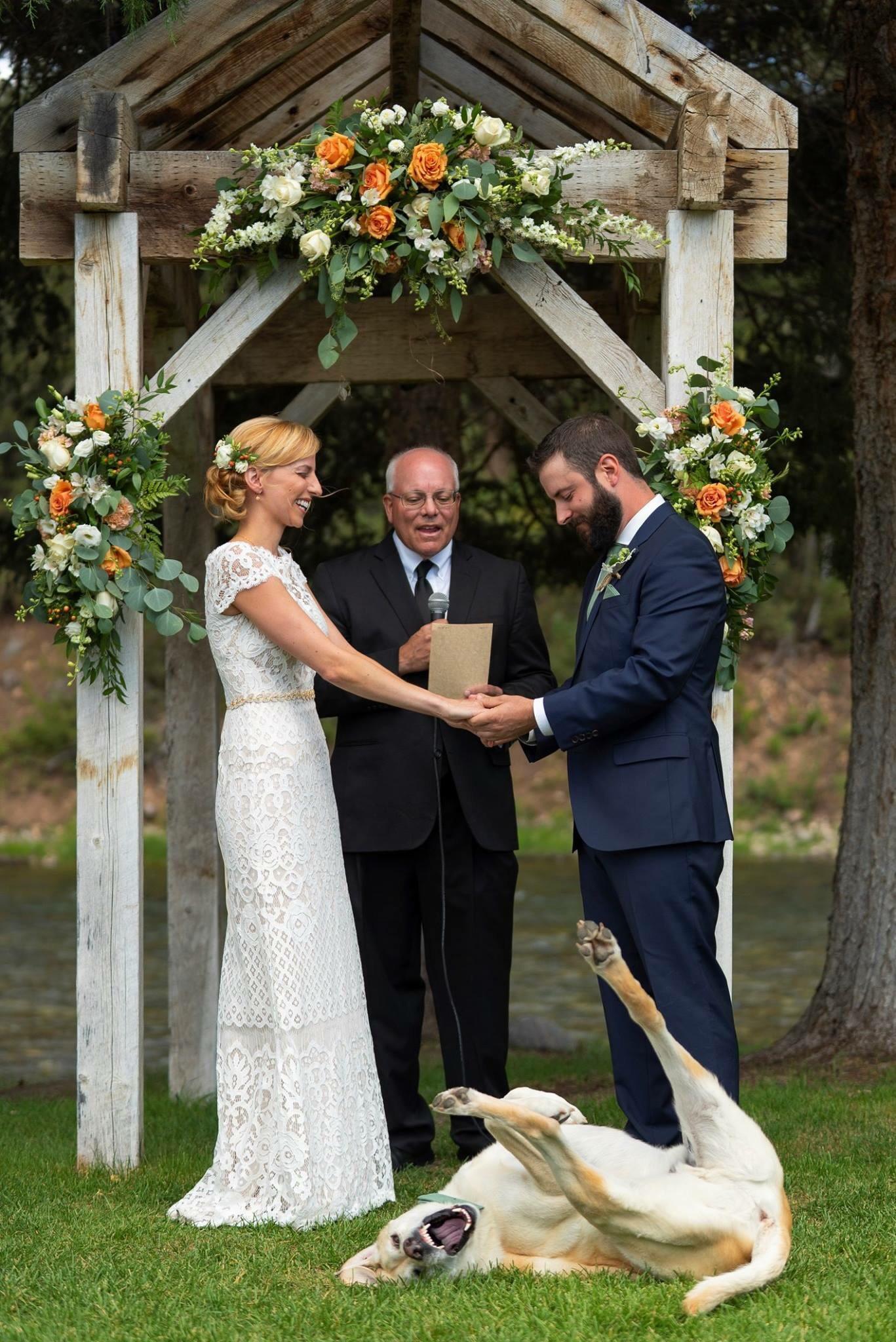 dog photobombs wedding