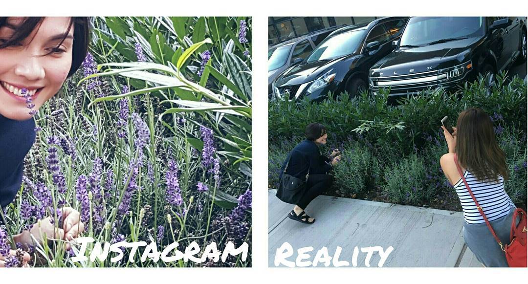 instagram vs reality grass