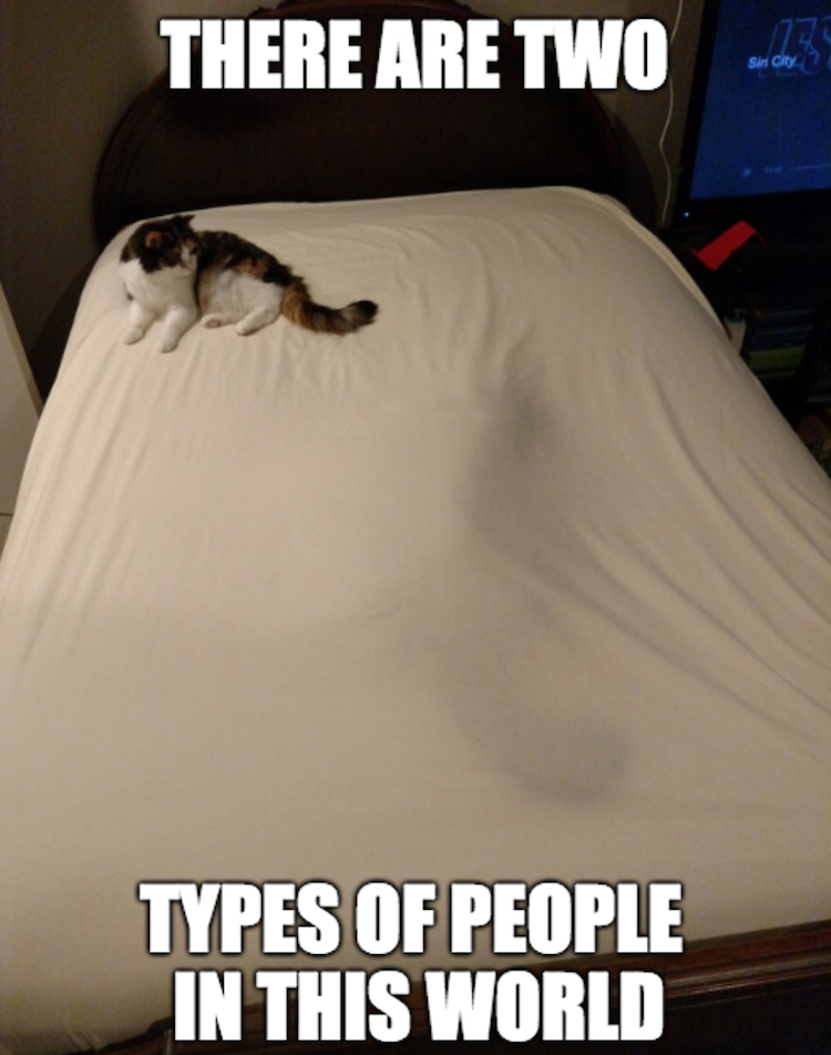 duvet day meme cat - There Are Two Types Of People In This World