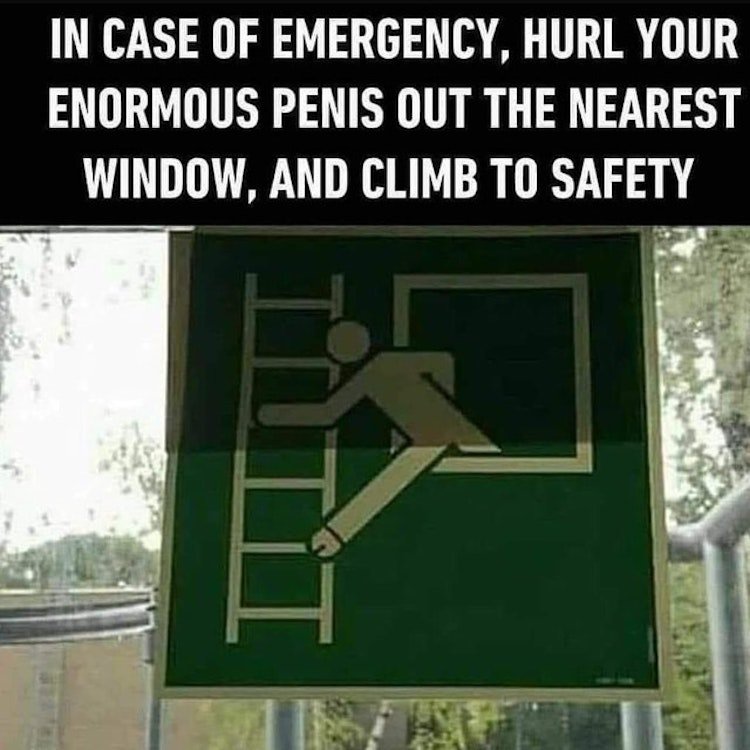case of emergency hurl your enormous - In Case Of Emergency, Hurl Your Enormous Penis Out The Nearest Window, And Climb To Safety