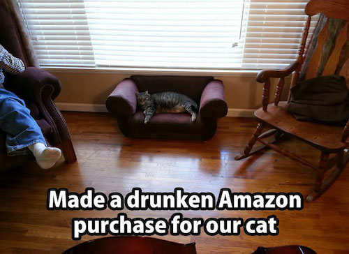 purchase regret meme - Made a drunken Amazon purchase for our cat