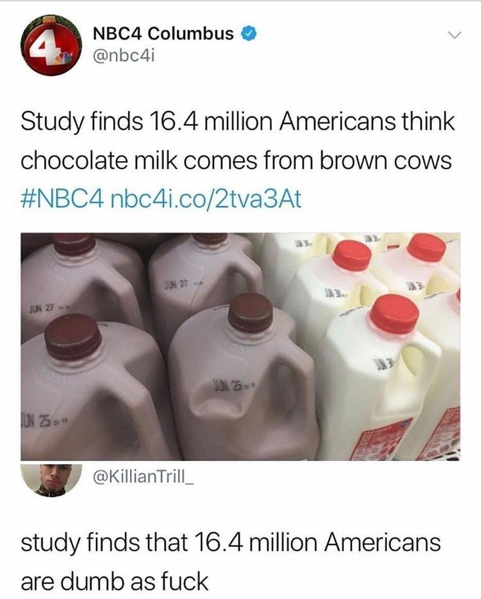 americans think chocolate milk comes from brown cows - 4 NBC4 Columbus Study finds 16.4 million Americans think chocolate milk comes from brown cows nbc4i.co2tva3At Jun 27 Jun Z? Un 31 study finds that 16.4 million Americans are dumb as fuck