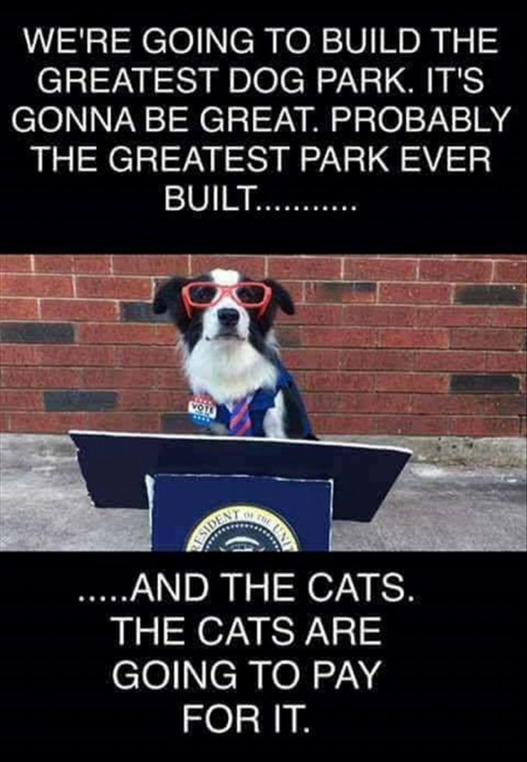 trump dog park meme - We'Re Going To Build The Greatest Dog Park. It'S Gonna Be Great. Probably The Greatest Park Ever Built.. Side .And The Cats. The Cats Are Going To Pay For It.