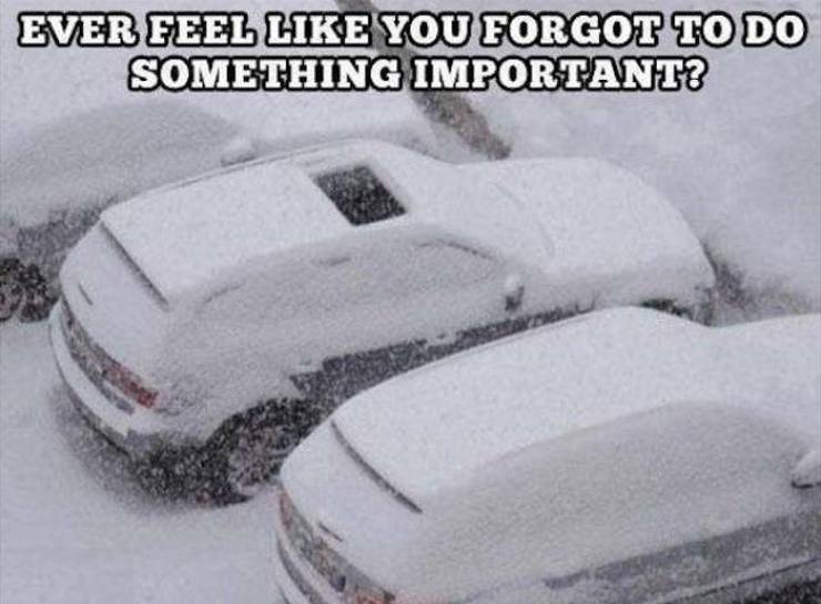 snow funny - Ever Feel You Forgot To Do Something Important?