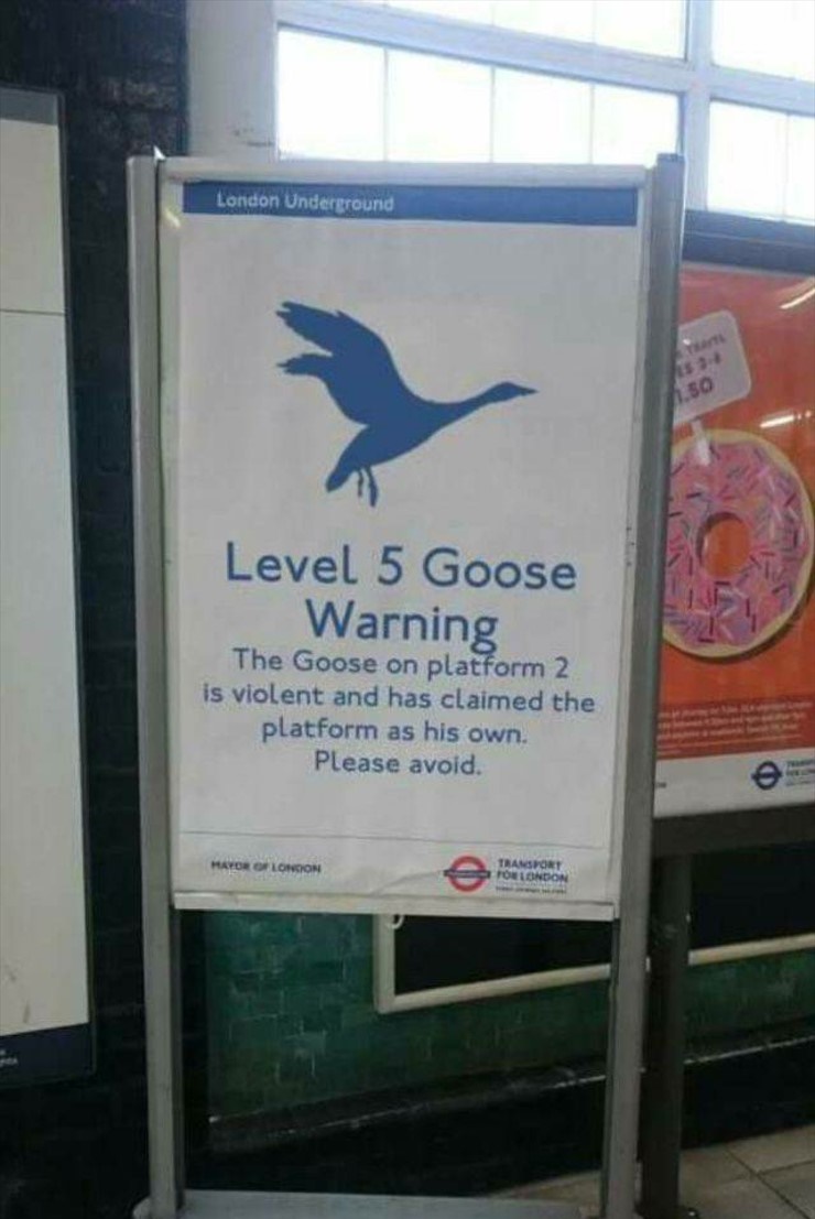 level 5 goose warning - London Underground Level 5 Goose Warning The Goose on platform 2 is violent and has claimed the platform as his own. Please avoid Transport Por London