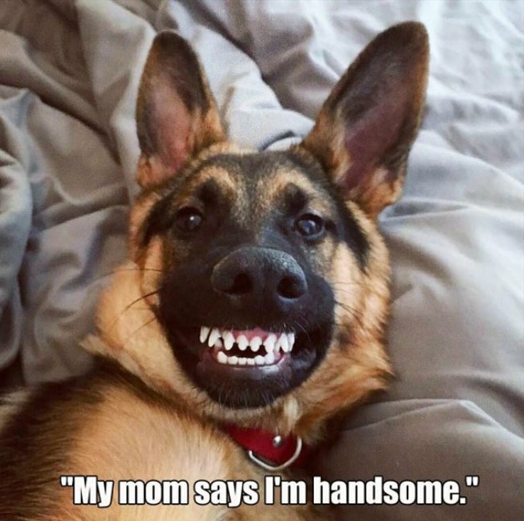 "My mom says I'm handsome."