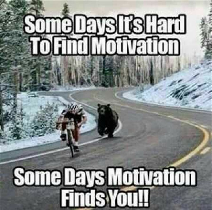 some days motivation finds you - Some Days Its Hard To Find Motivation Some Days Motivation Finds You!!