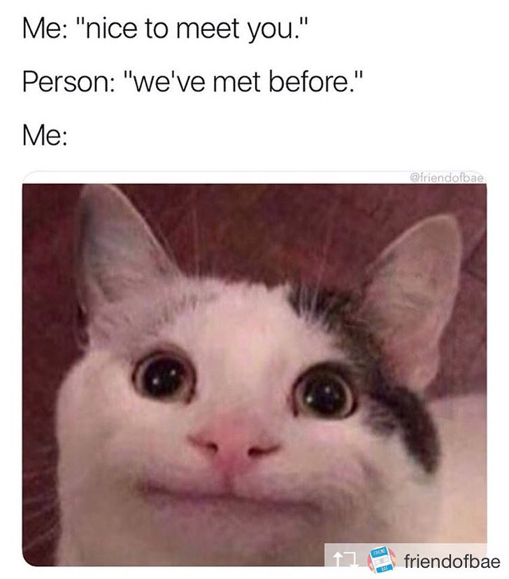 reddit funny cat - Me "nice to meet you." Person "we've met before." Me 17 friendofbae