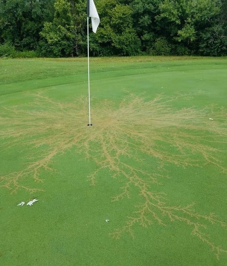 lightning strike on golf green