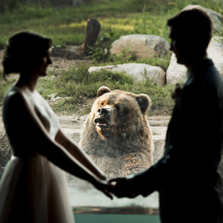 bear in wedding