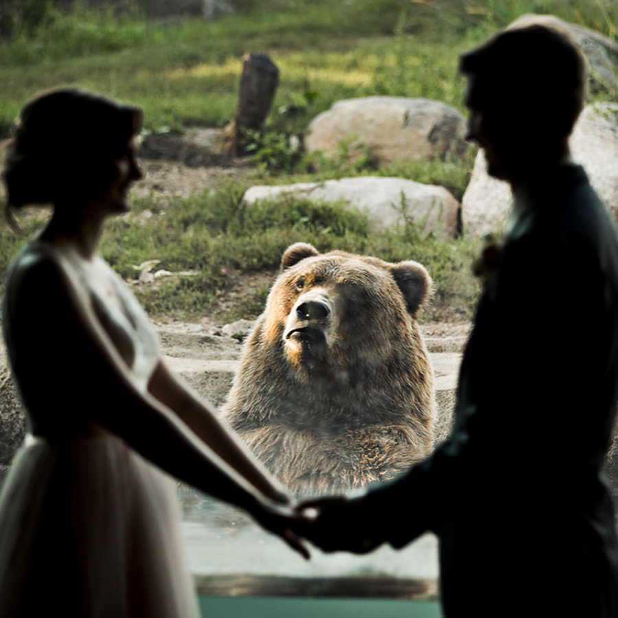 bear marriage