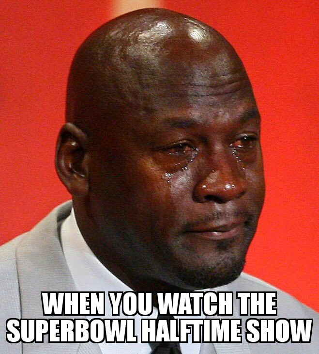 memes - michael jordan hall of fame - When You Watch The Superbowl Halftime Show