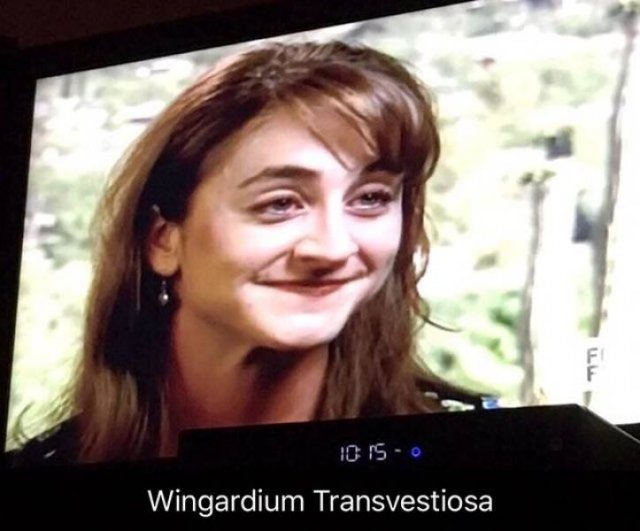 daniel radcliffe drag memes - 1015O Wingardium Transvestiosa