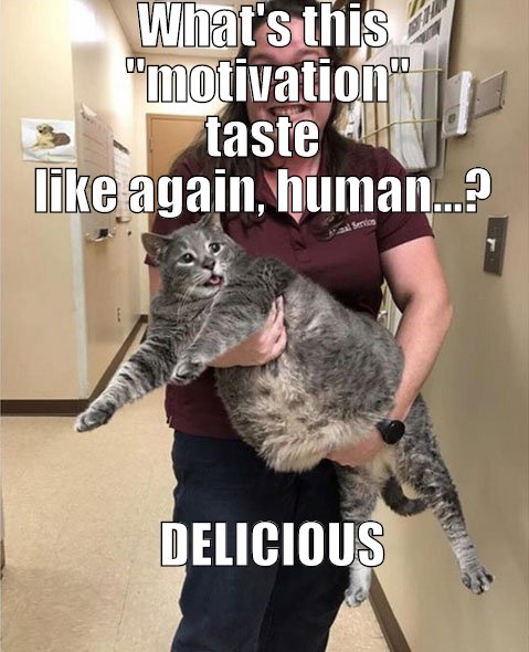 Kitty reminds its caretaker that cat obesity is a very personal decision.