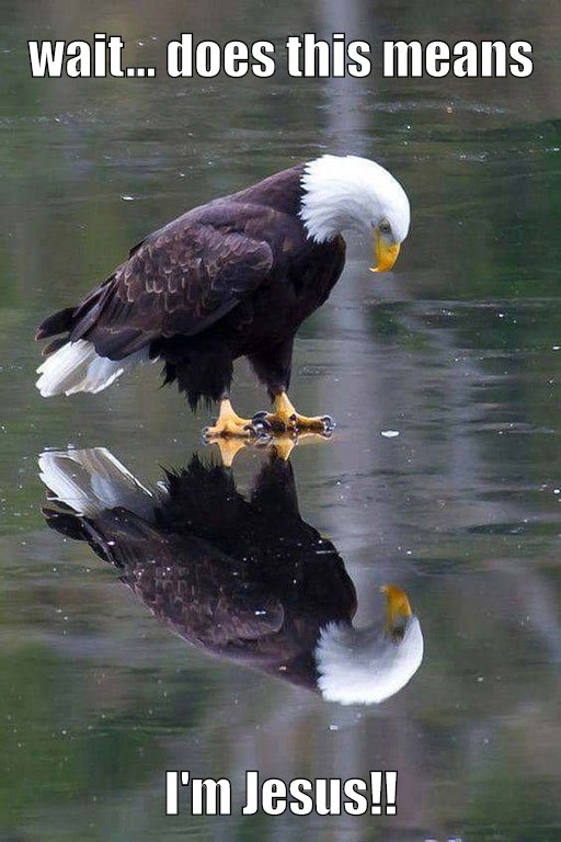 Eagle realizing he can walk on water.