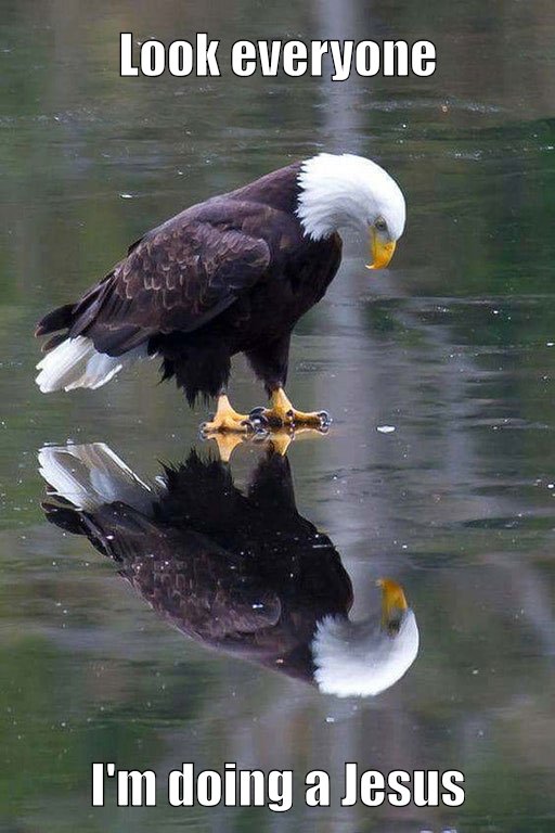 eagle caption