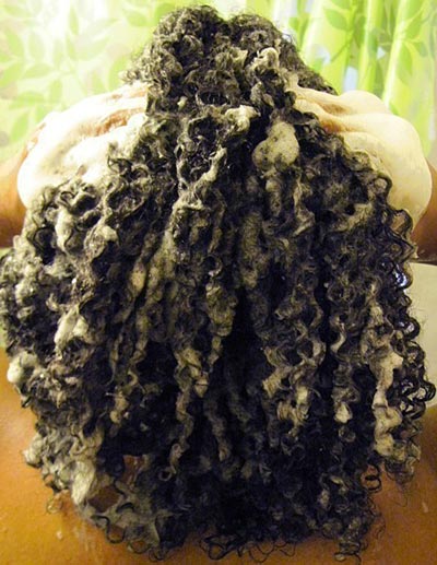 A Sweet Gallery Of Disgusting Human Hair