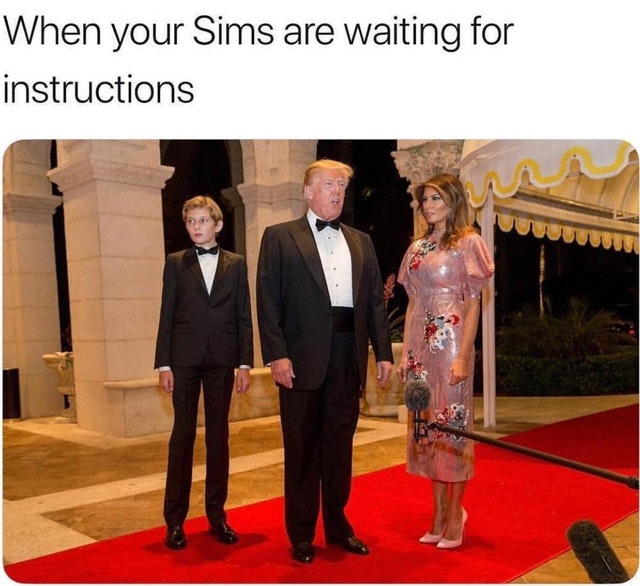 memes - sims waiting for instructions - When your Sims are waiting for instructions
