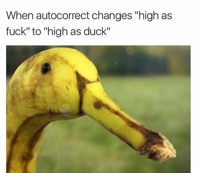 memes - duck memes - When autocorrect changes "high as fuck" to "high as duck"
