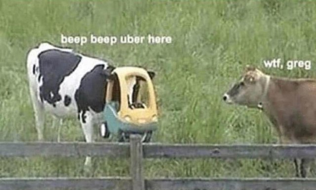 meme of beep beep uber here wtf greg - beep beep uber here wtf, greg