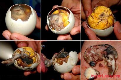 disgusting delicacy foods - balut egg