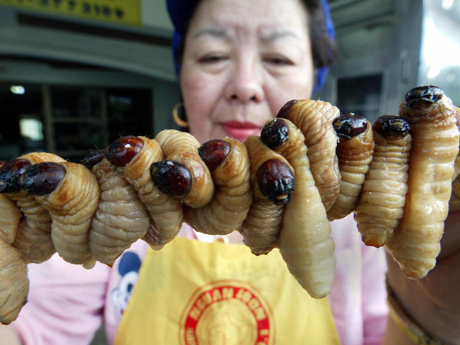 disgusting delicacy foods - can you eat caterpillar