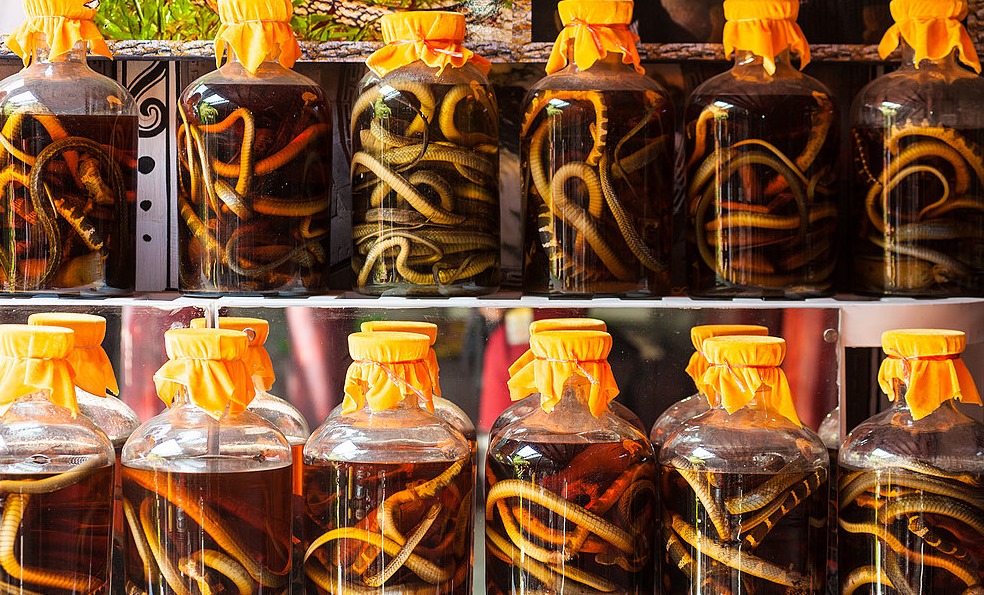 disgusting delicacy foods - hong kong centipede alcohol