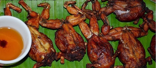 disgusting delicacy foods - frog recipes