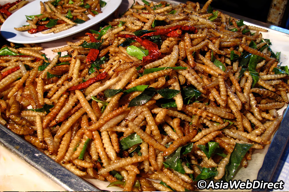 disgusting delicacy foods - thailand street food insects - Asia Web Direct