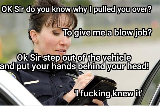 funny picture about ok sir do you know why i pulled you over - Ok Sir do you know why I pulled you over? To give me a blowjob? Ok Sir step out of the vehicle and put your hands behind your head! Tfucking knew it