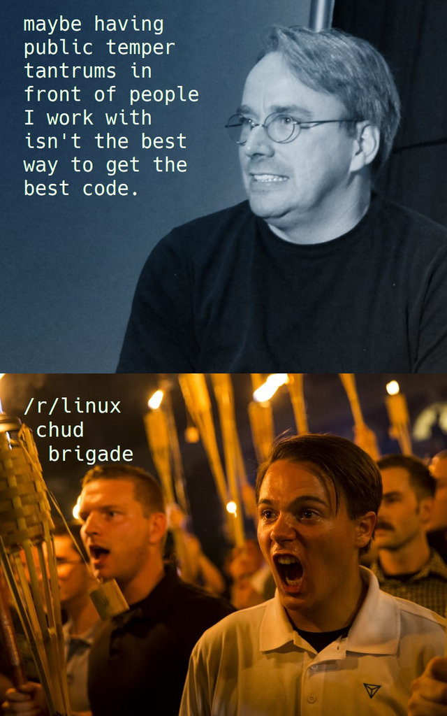 funny picture about charlottesville white supremacist - maybe having public temper tantrums in front of people I work with isn't the best way to get the best code. rlinux chud brigade
