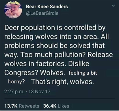 funny picture about lyrics - Bear Knee Sanders 'Deer population is controlled by releasing wolves into an area. All problems should be solved that way. Too much pollution? Release wolves in factories. Dis, Congress? Wolves, feeling a bit horny? That's rig