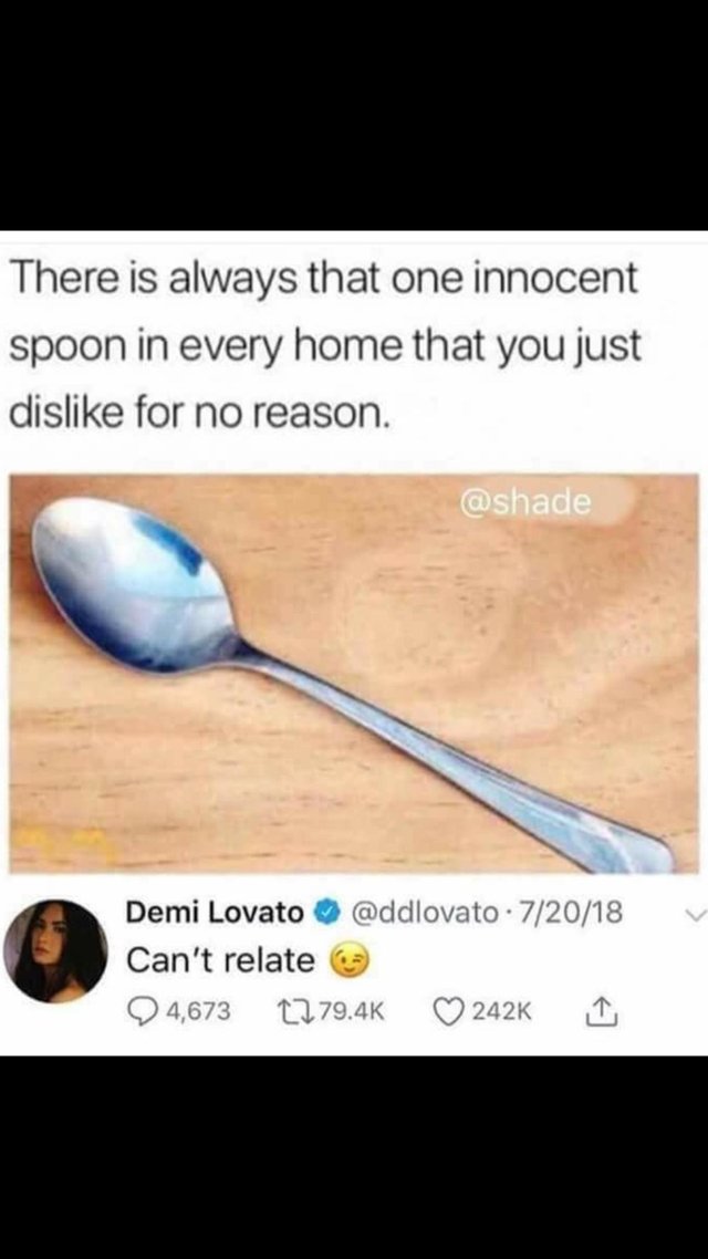 funny picture about you spoon - There is always that one innocent spoon in every home that you just dis for no reason. Demi Lovato . 72018 Can't relate 4,673