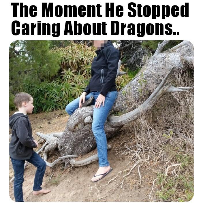memes - The Moment He Stopped Caring About Dragons..