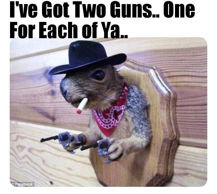 memes - funny taxidermy - I've Got Two Guns.. One For Each of Ya.. Facebook