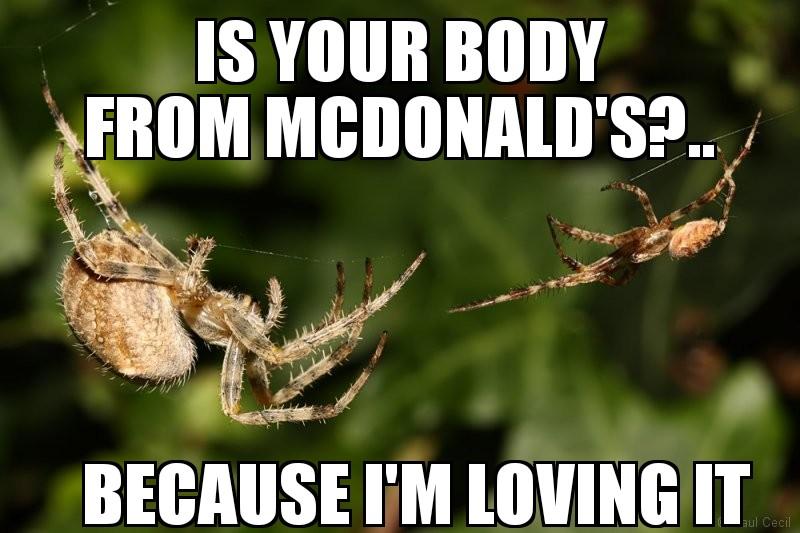 memes - pest - Is Your Body From Mcdonald'S?. Because I'M Loving It ul Cecil
