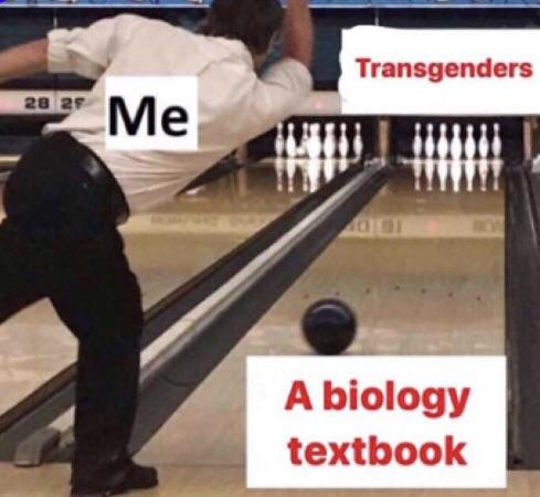 thus spoke zarathustra meme - Transgenders 2025 Me A biology textbook