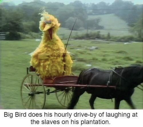 racist big bird memes - Big Bird does his hourly driveby of laughing at the slaves on his plantation.