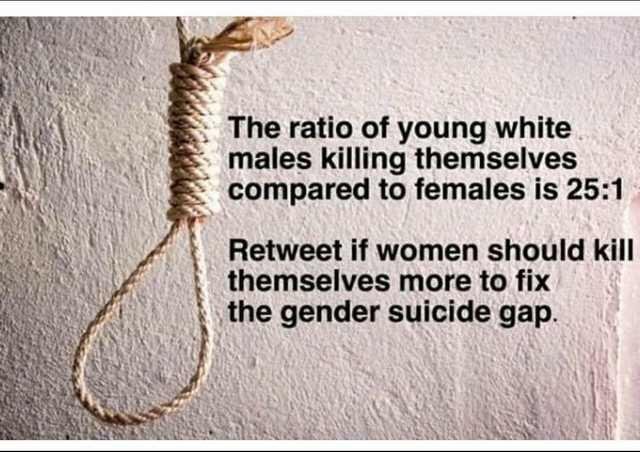 meme - fix the gender suicide gap - The ratio of young white males killing themselves compared to females is Retweet if women should kill themselves more to fix the gender suicide gap.